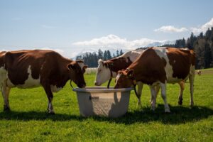 Polytank rond - Afbeelding 3